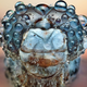 Illustration for article titled Behold the jewel-like beauty of dew-covered insects photographed close-up